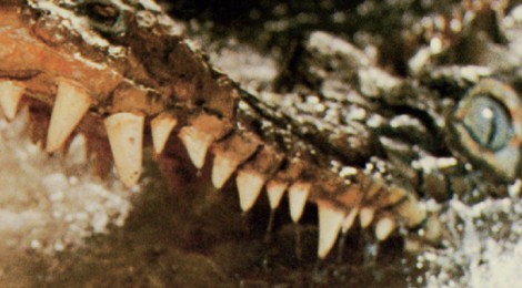 Stelvio Cipriani - Il Fiume Del Grande Caimano (The Great Alligator) 
