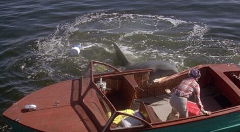 Von Haien und Menschen: Der weisse Hai 2
