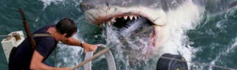 The Last Jaws - Der weisse Killer